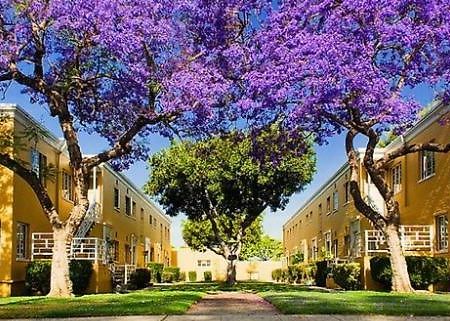 2 Bedroom Condo With A View Near The Grove Los Angeles Eksteriør bilde